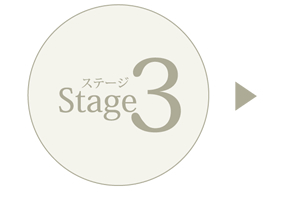 Stage3
